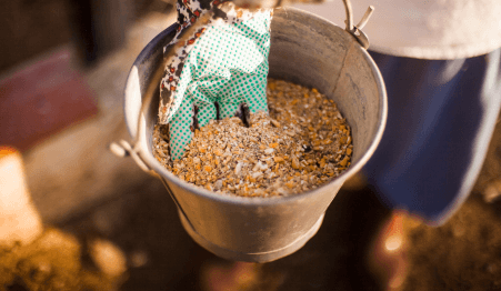 person hand holding bucket with fodder