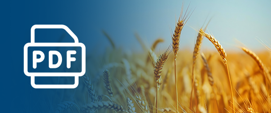Grain Trade Australia PDF thumbnail