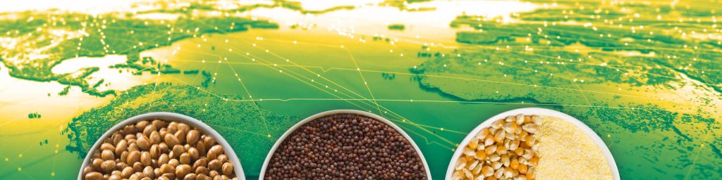 Plant Breeding Innovation