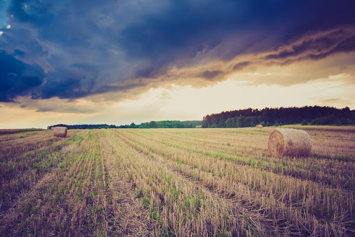 Post-Harvest Chemicals